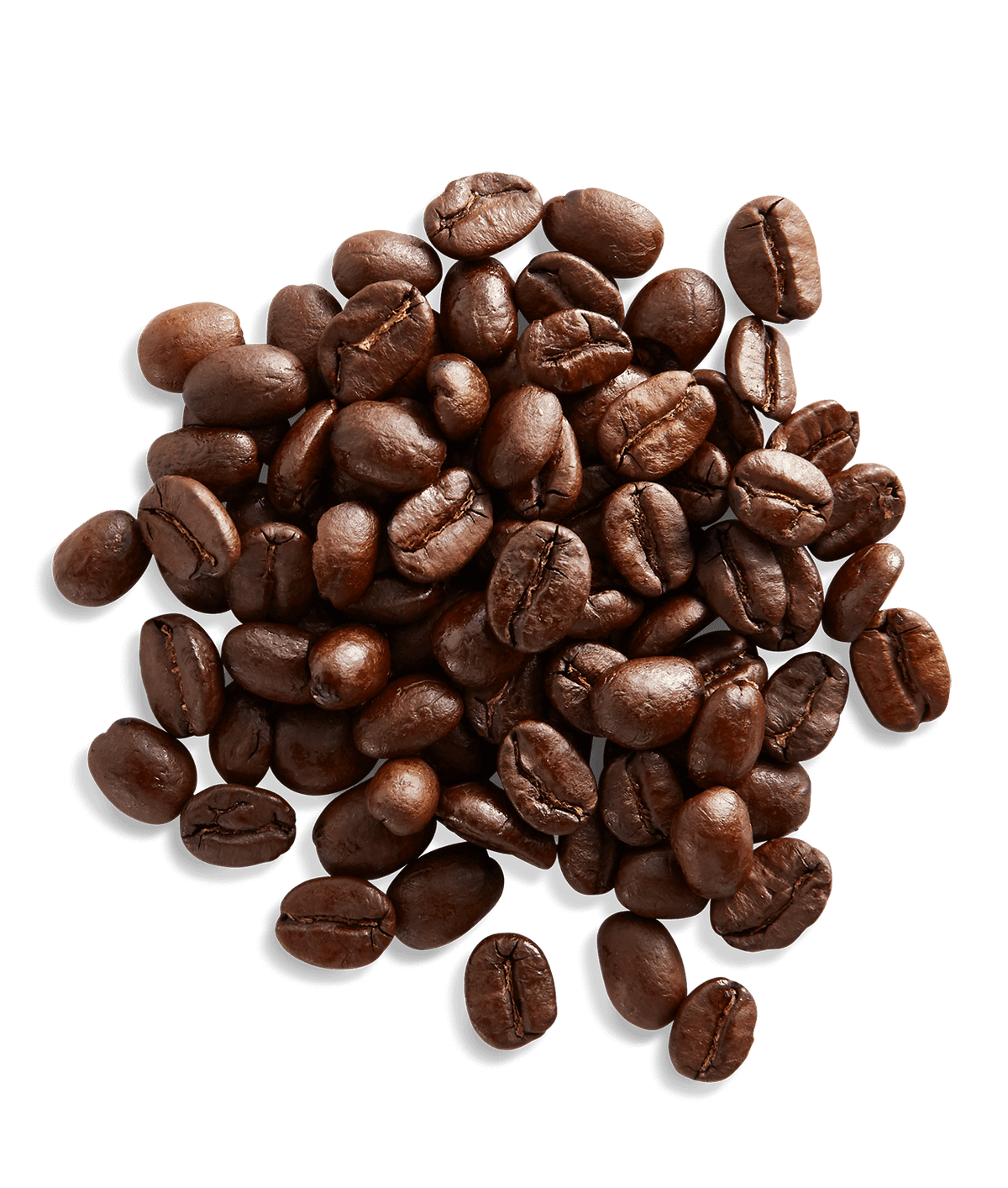 Peet's Costa Rica Coffee beans shown up close with detail